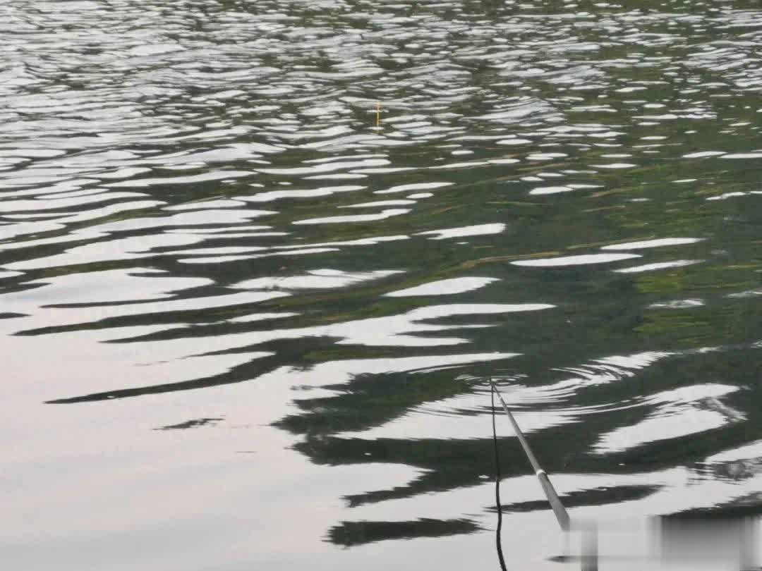 span, span, 一种钓得大