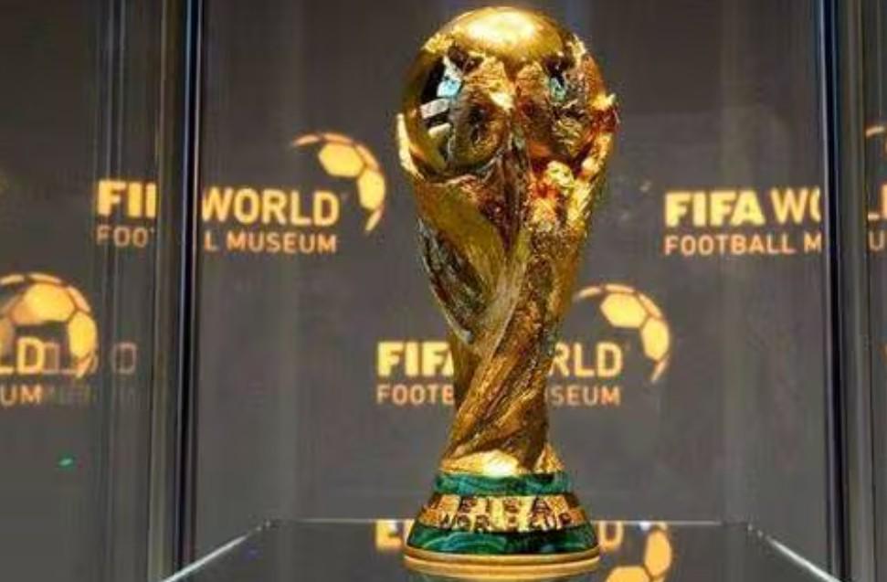 此外, 复杂的组织 此外, 复杂的组织