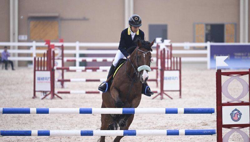 马龄, 不仅仅是趴